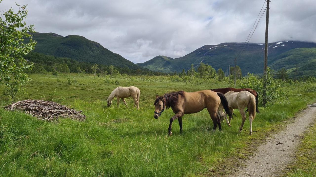 Holiday Home Among The Pearls Of Norway Stranda  Dış mekan fotoğraf