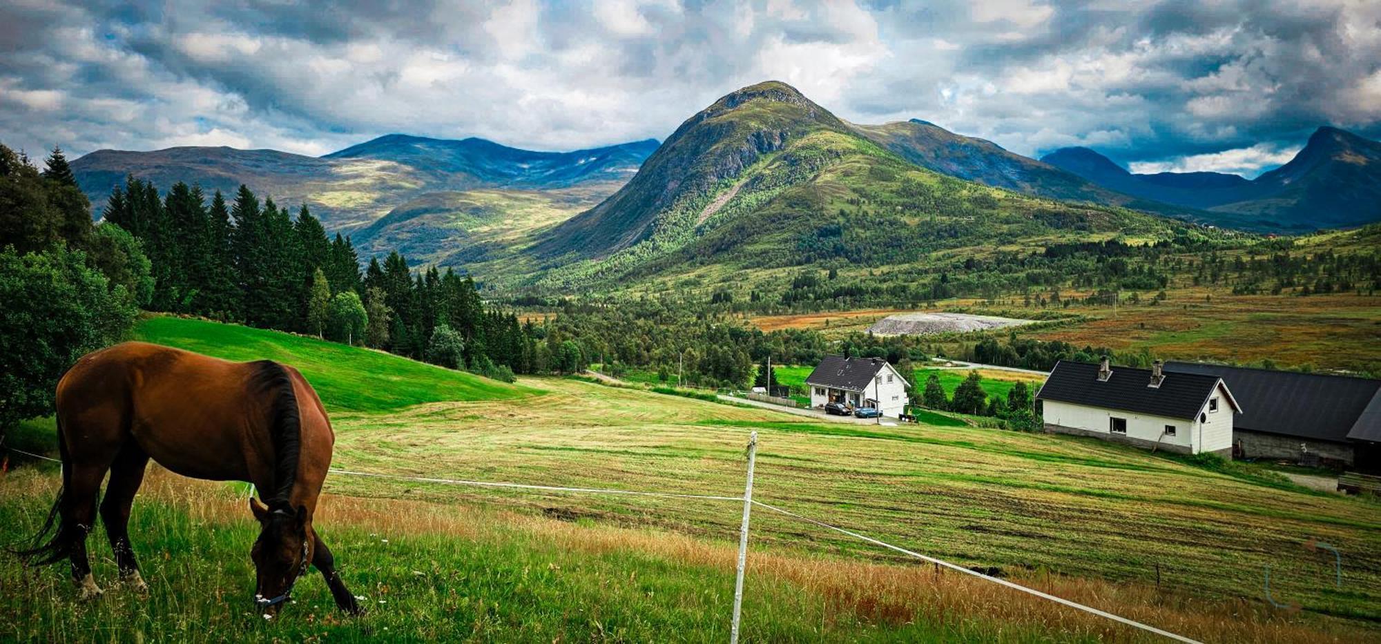 Holiday Home Among The Pearls Of Norway Stranda  Dış mekan fotoğraf