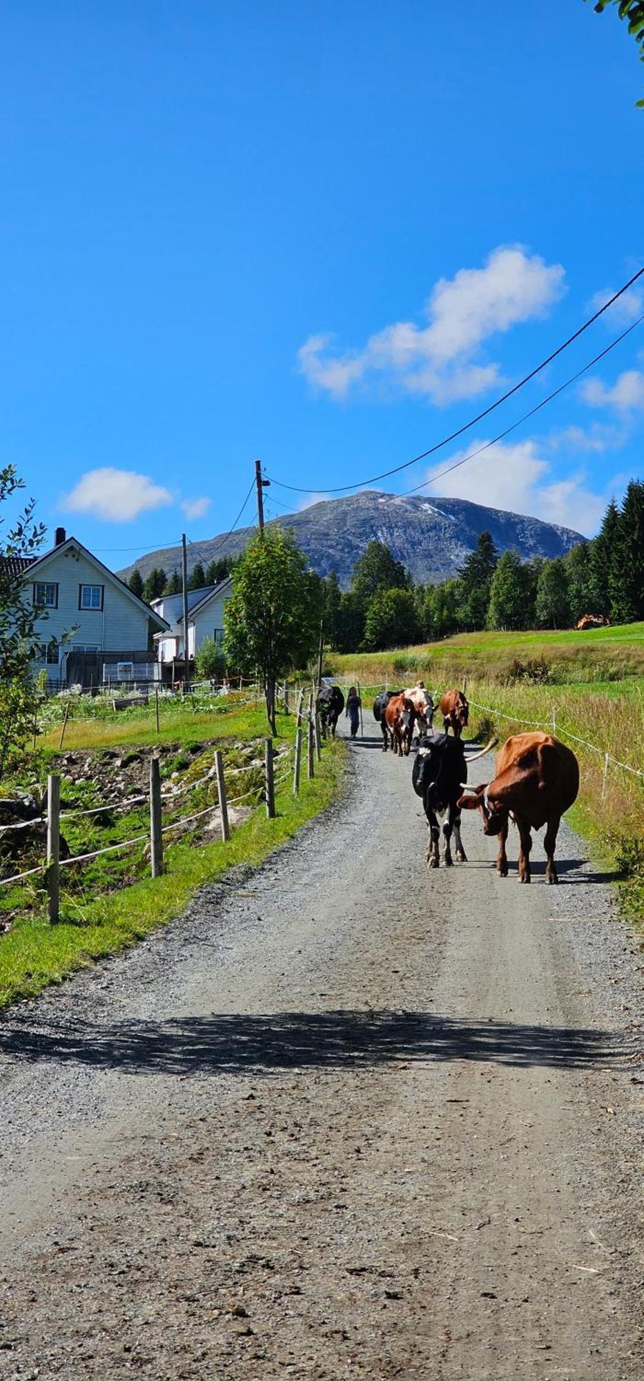 Holiday Home Among The Pearls Of Norway Stranda  Dış mekan fotoğraf